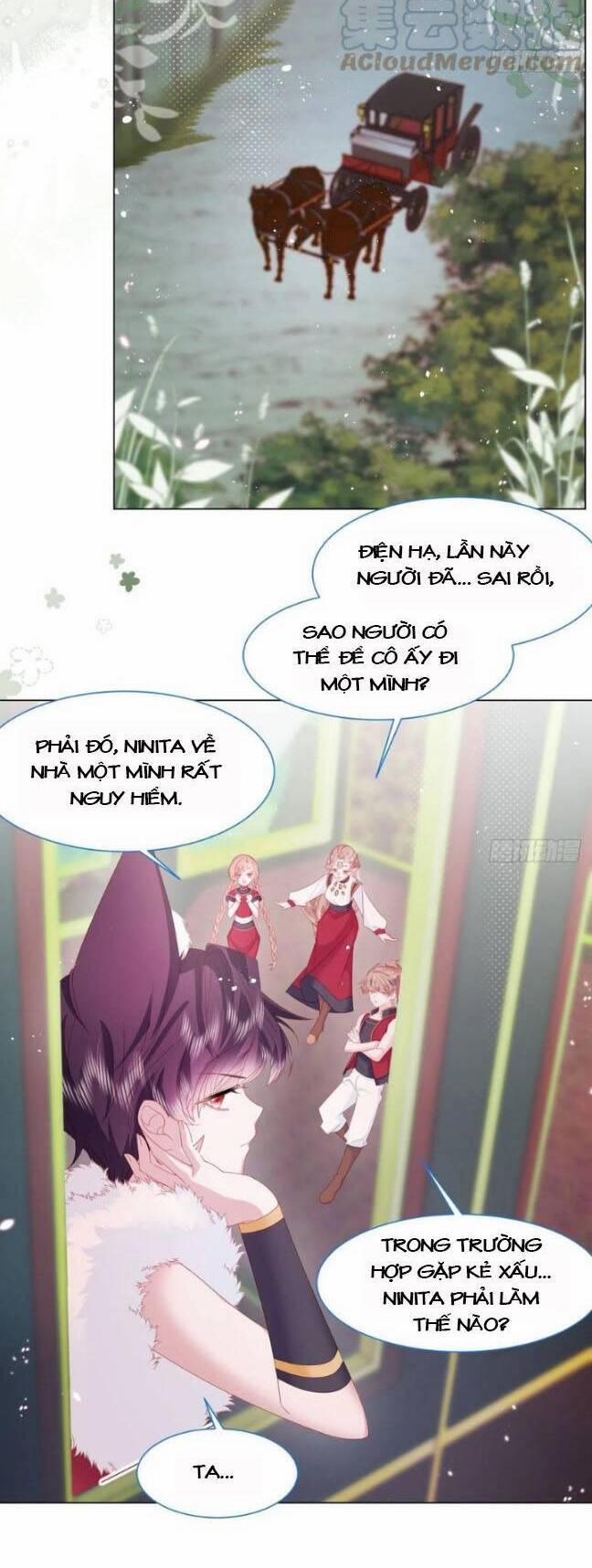 Ninita Yêu Dấu 18 trang 17