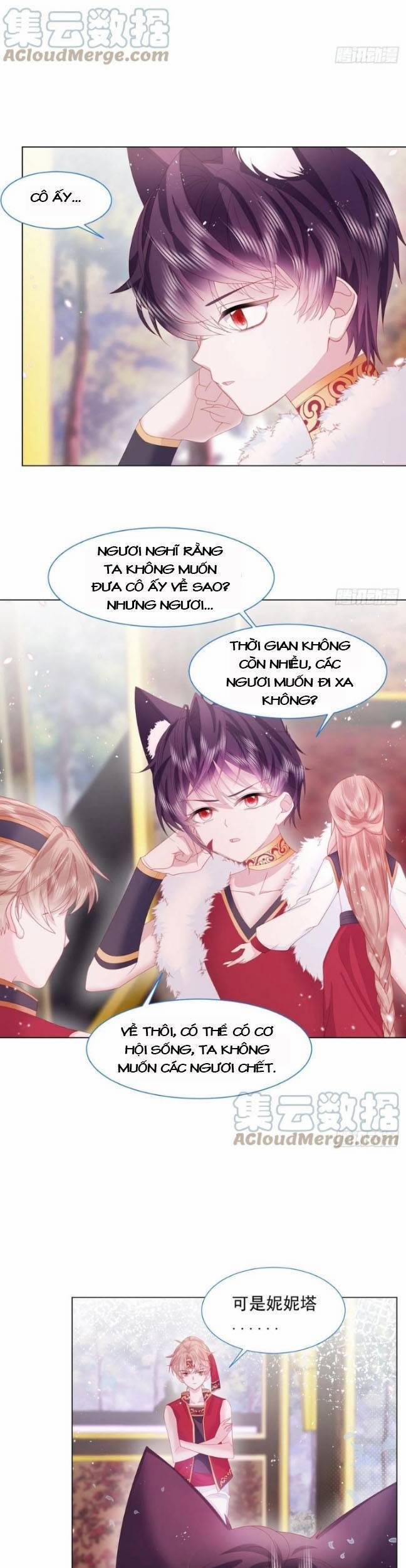 Ninita Yêu Dấu 18 trang 18