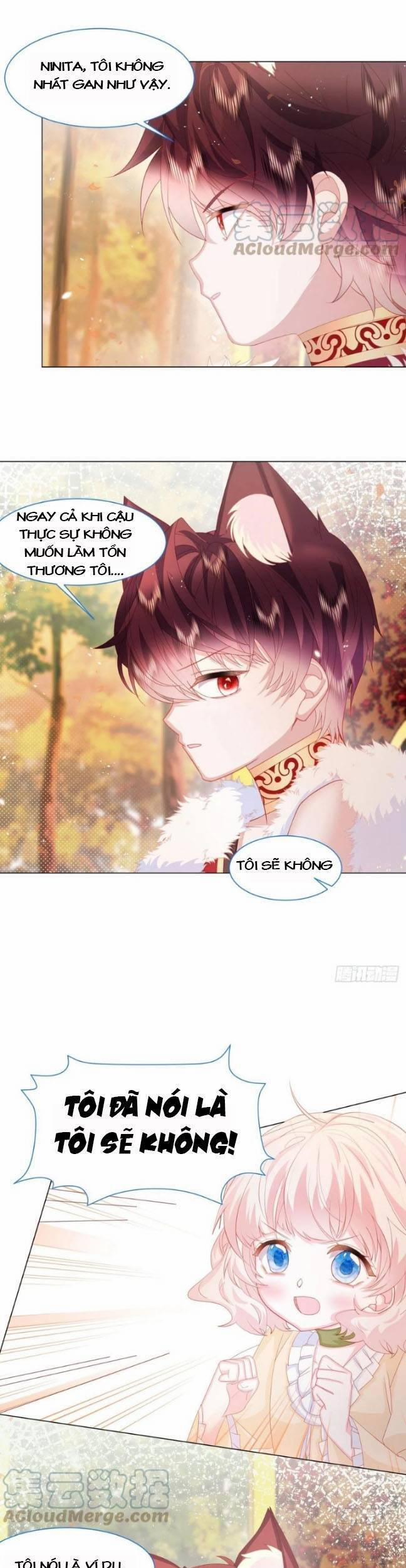 Ninita Yêu Dấu 18 trang 4