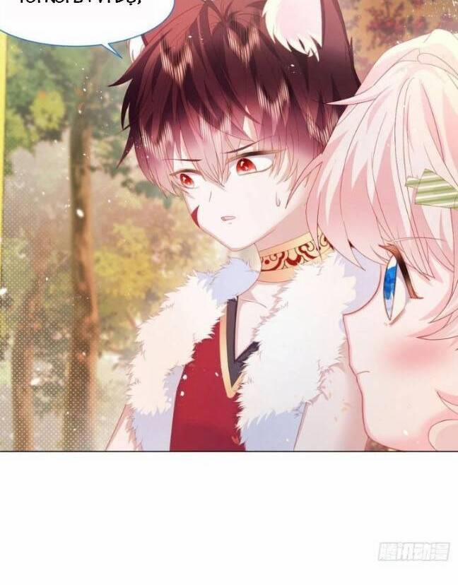 Ninita Yêu Dấu 18 trang 5