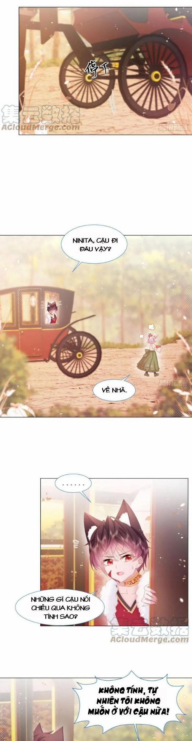 Ninita Yêu Dấu 18 trang 8