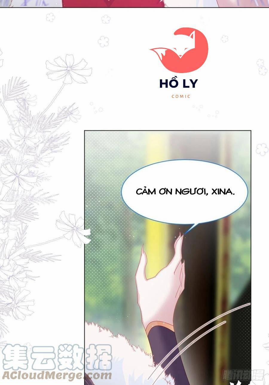 Ninita Yêu Dấu 19 trang 14