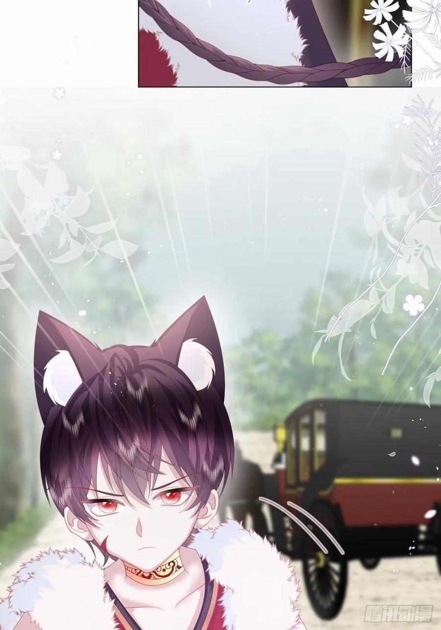 Ninita Yêu Dấu 19 trang 15