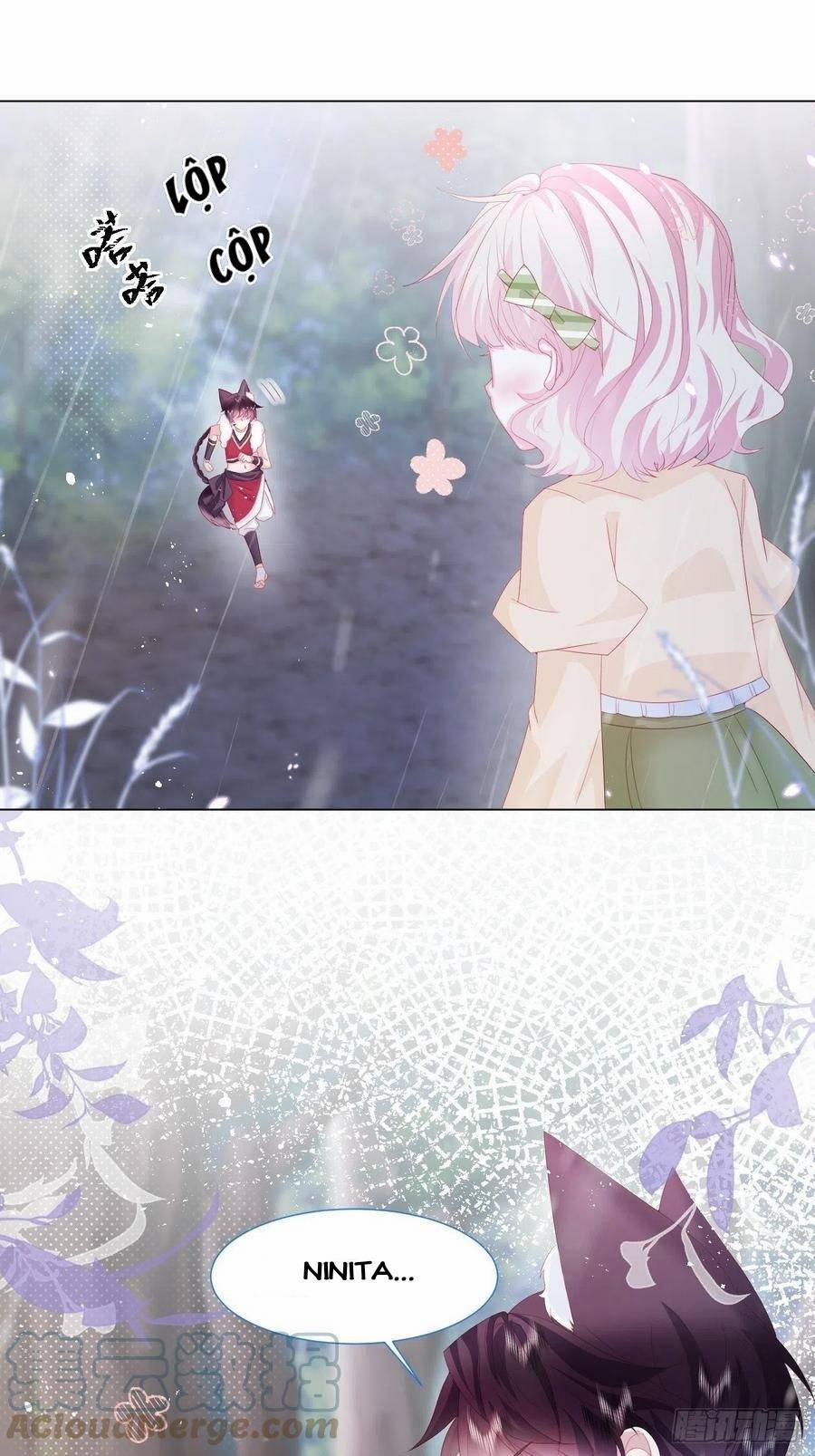 Ninita Yêu Dấu 19 trang 26