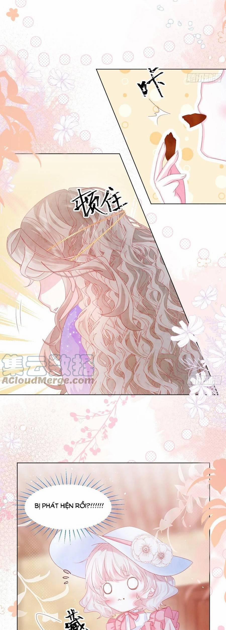 Ninita Yêu Dấu 20 trang 12