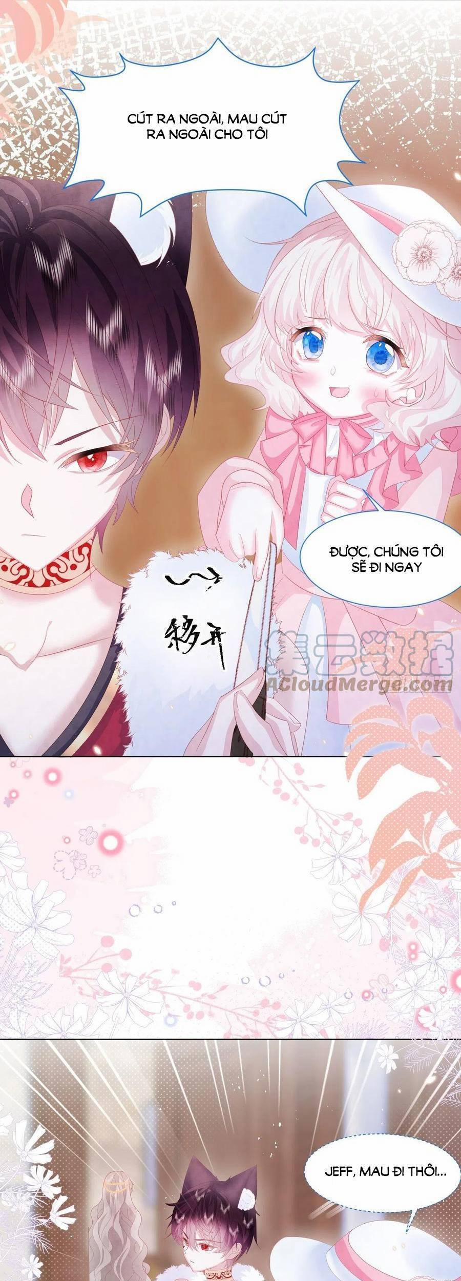 Ninita Yêu Dấu 20 trang 23