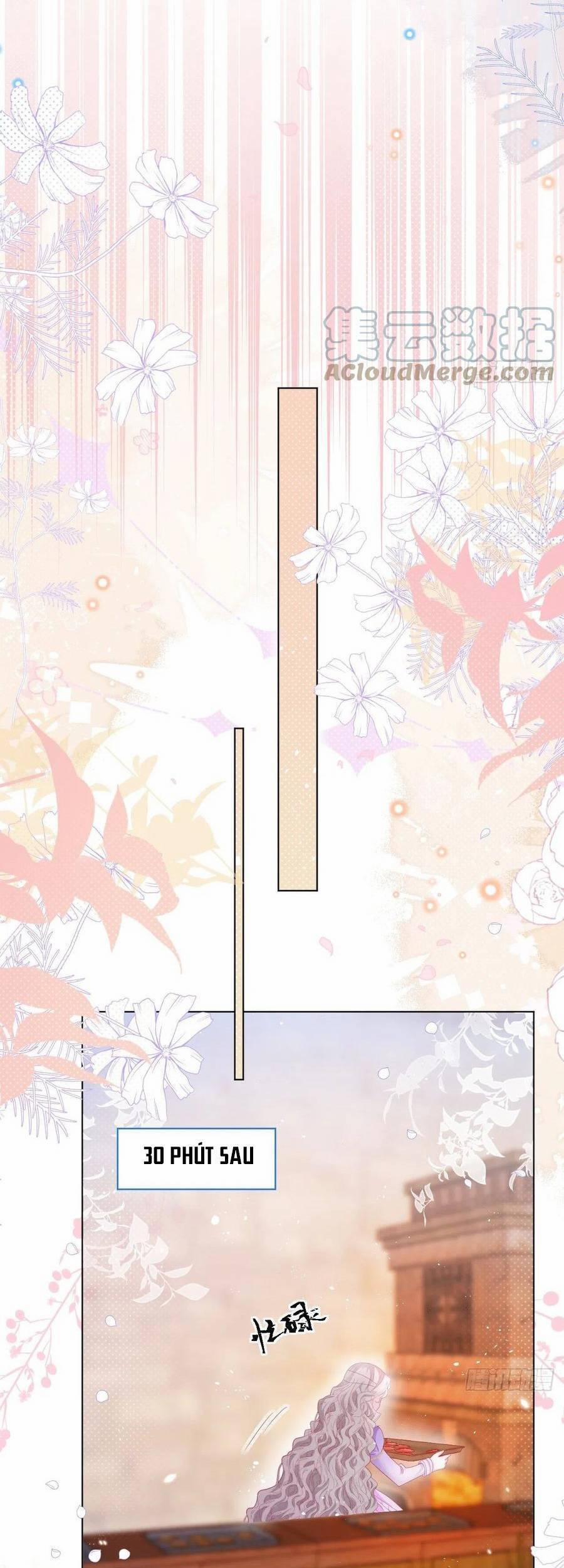 Ninita Yêu Dấu 20 trang 3