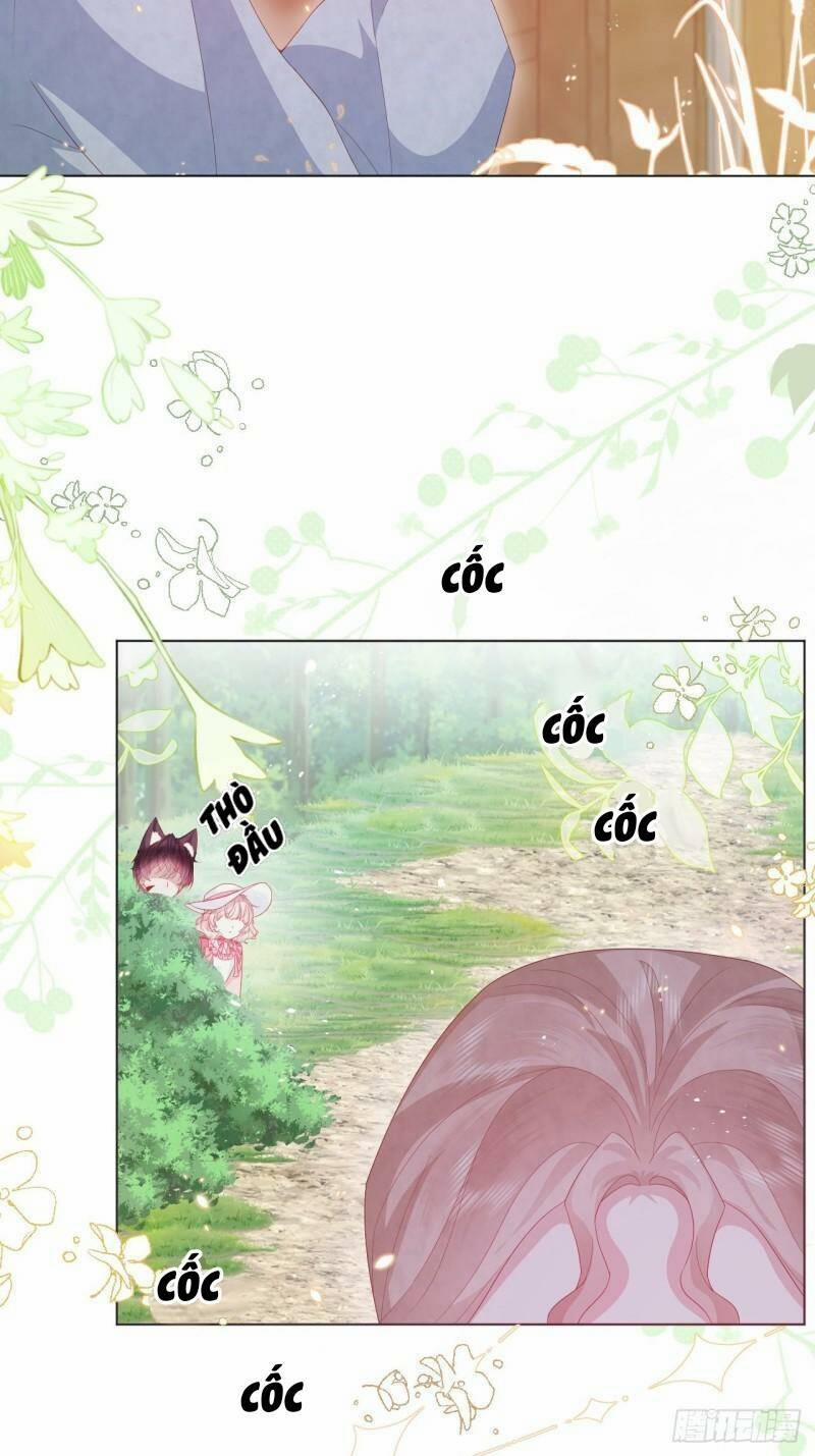 Ninita Yêu Dấu 22 trang 11