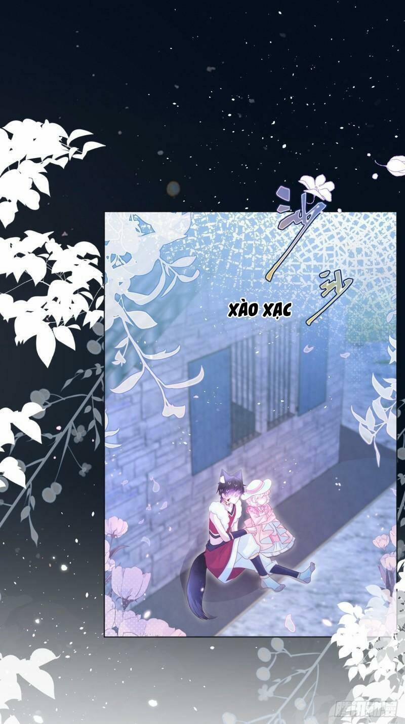 Ninita Yêu Dấu 22 trang 4