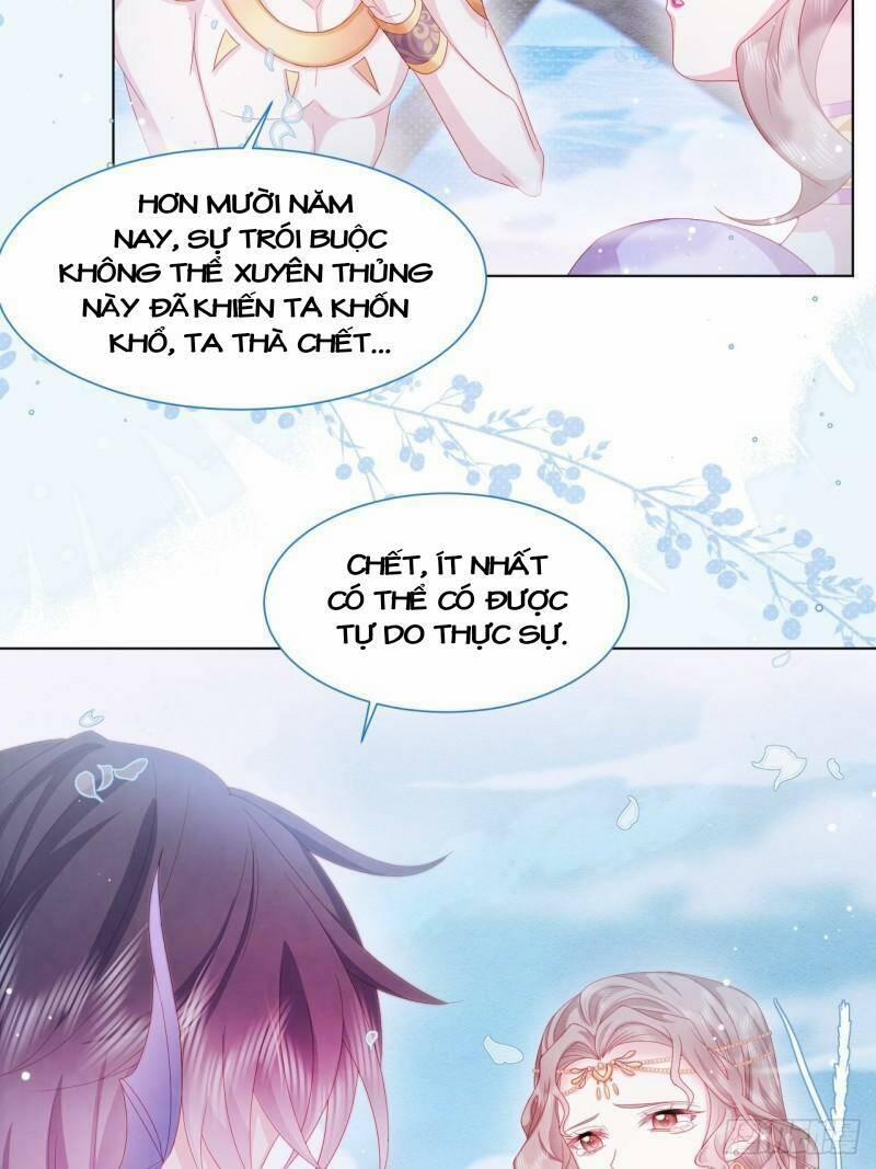 Ninita Yêu Dấu 23 trang 11