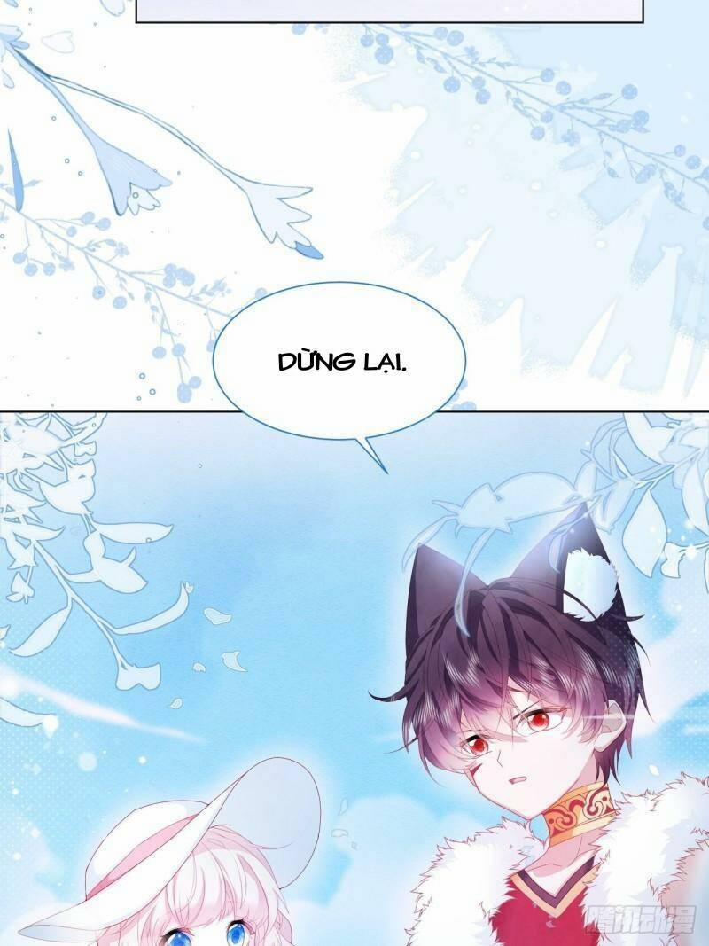 Ninita Yêu Dấu 23 trang 4