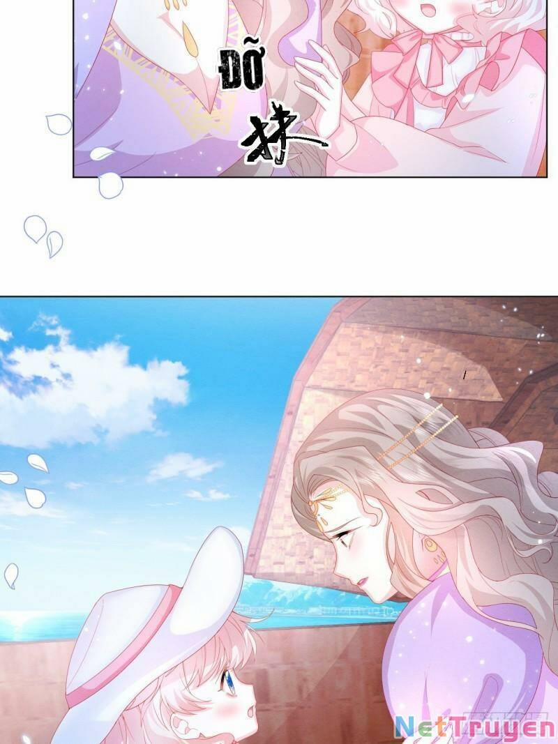 Ninita Yêu Dấu 24 trang 9