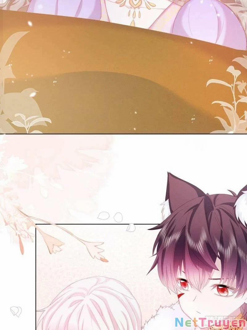 Ninita Yêu Dấu 25 trang 14