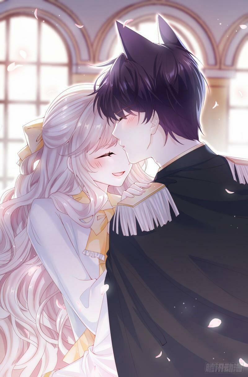 Ninita Yêu Dấu 29 trang 1