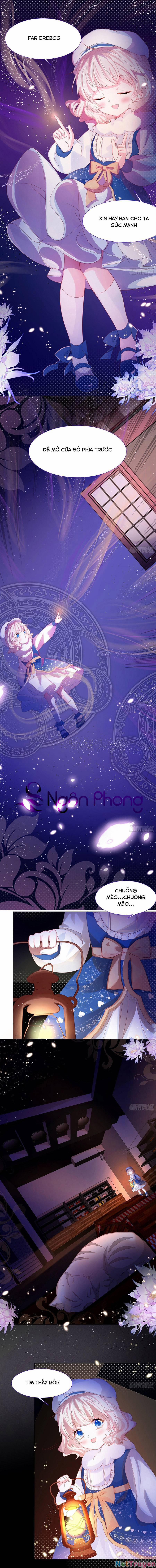 Ninita Yêu Dấu 3 trang 0