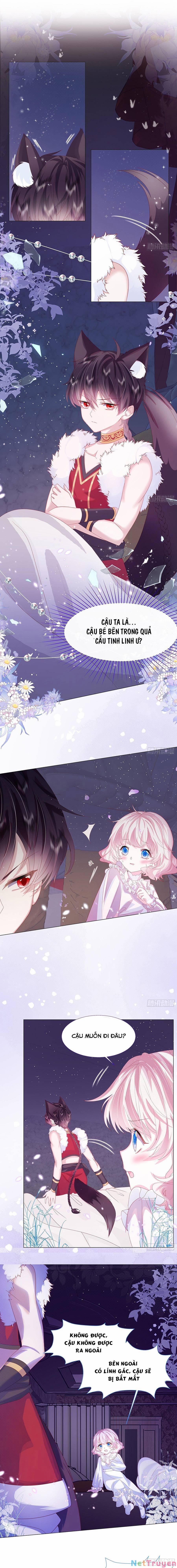 Ninita Yêu Dấu 3 trang 3