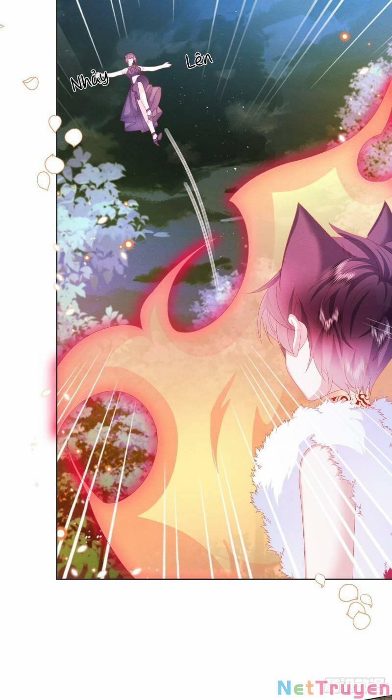 Ninita Yêu Dấu 33 trang 11