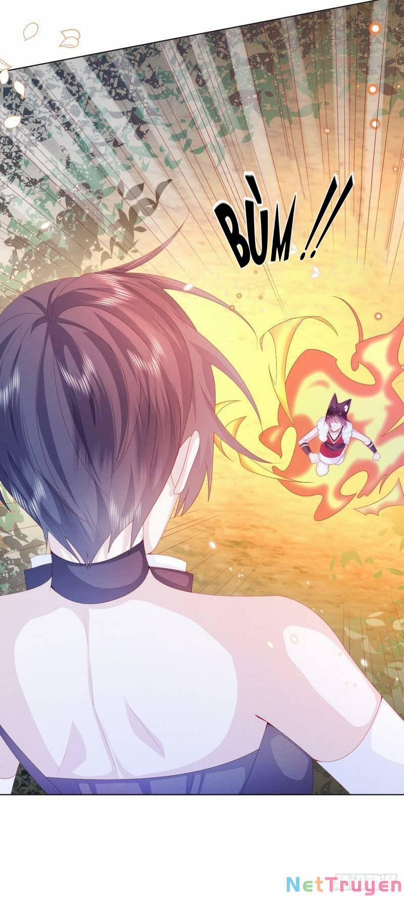 Ninita Yêu Dấu 33 trang 12