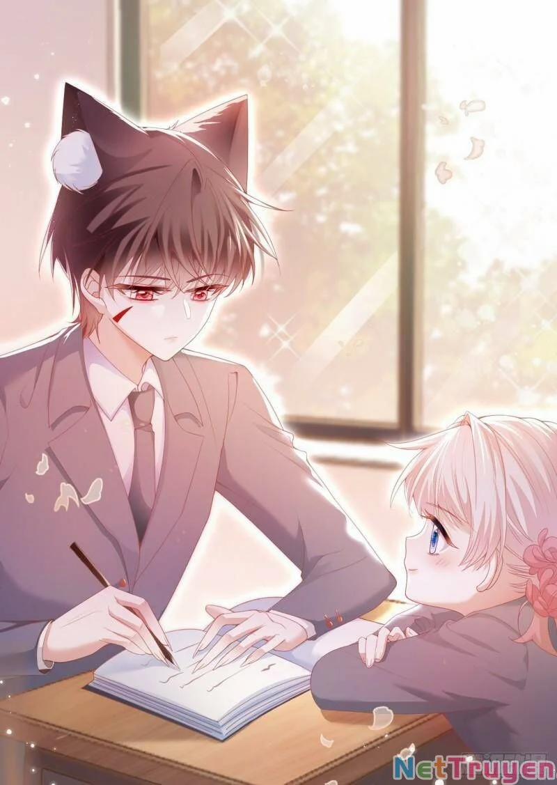 Ninita Yêu Dấu 33 trang 2