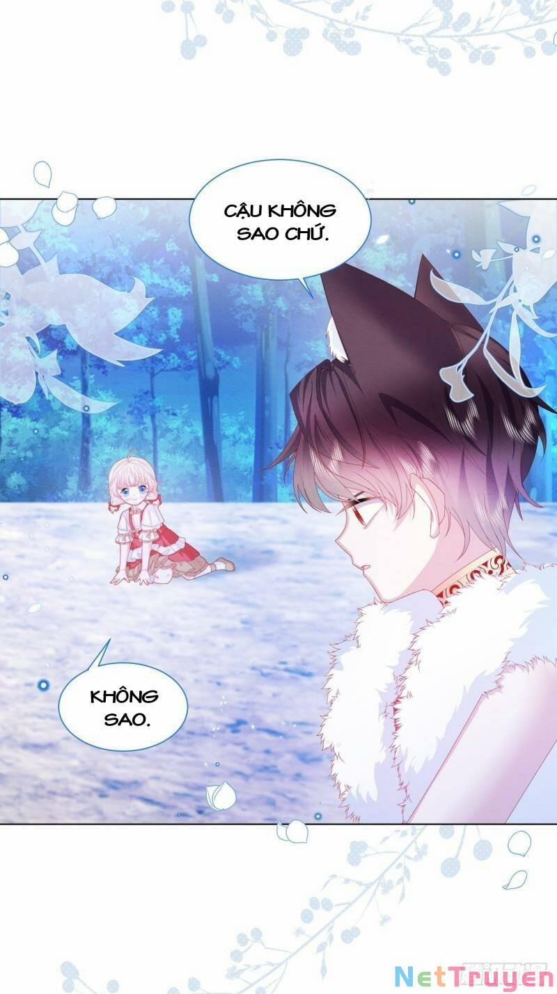 Ninita Yêu Dấu 33 trang 5