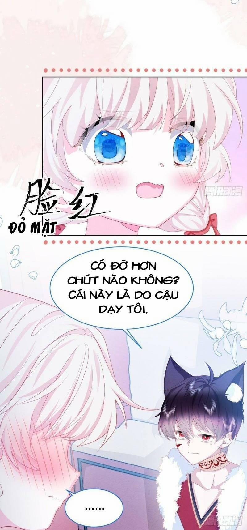 Ninita Yêu Dấu 34 trang 11