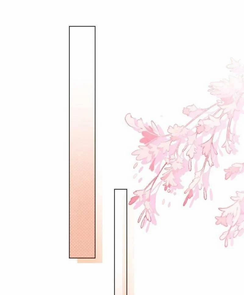 Ninita Yêu Dấu 34 trang 13