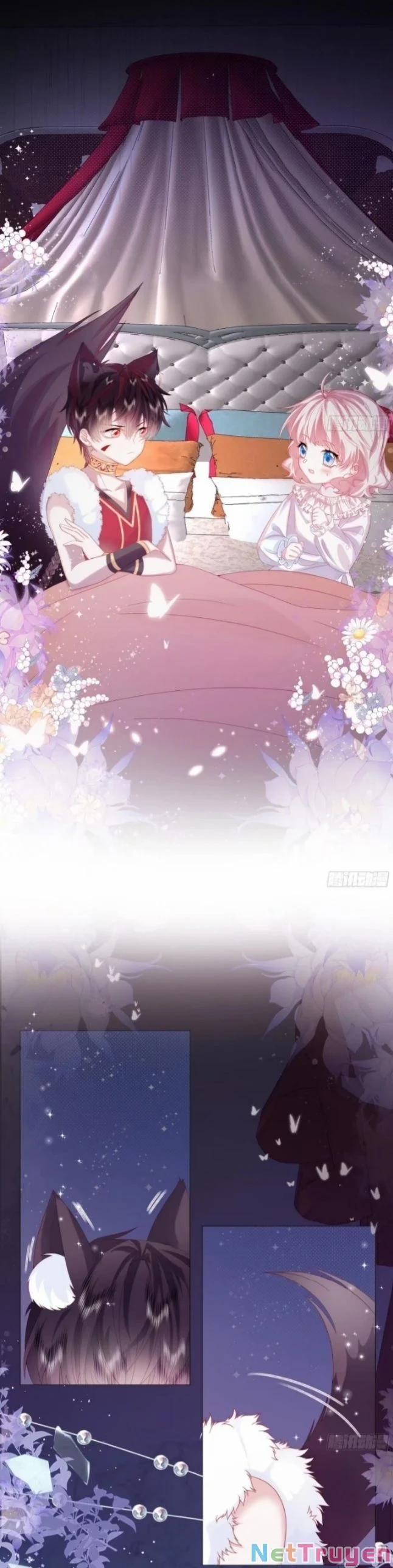 Ninita Yêu Dấu 4 trang 8