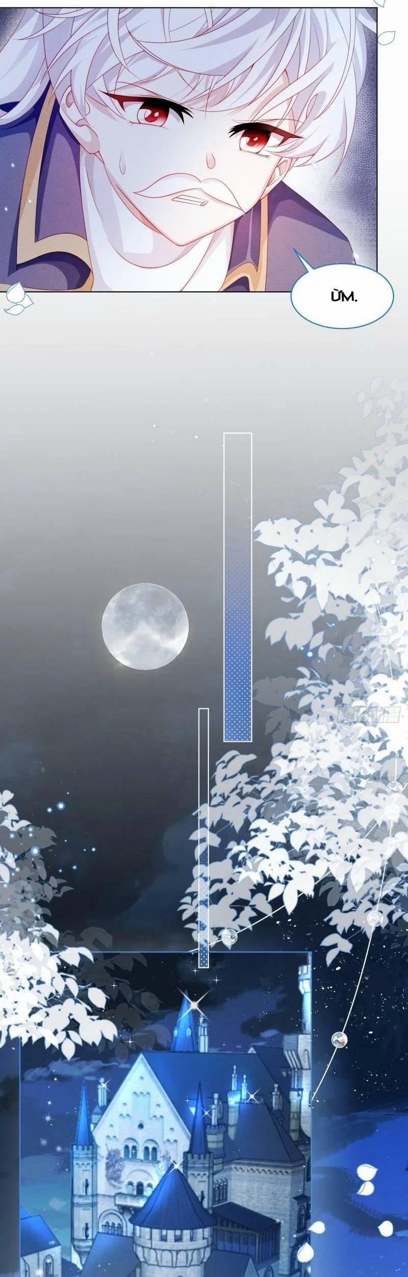 Ninita Yêu Dấu 40 trang 5