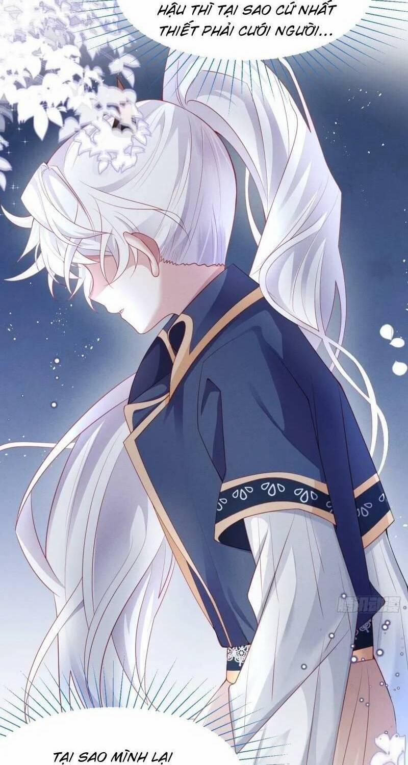 Ninita Yêu Dấu 41 trang 64