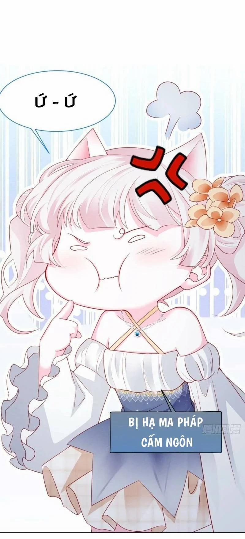 Ninita Yêu Dấu 41 trang 67