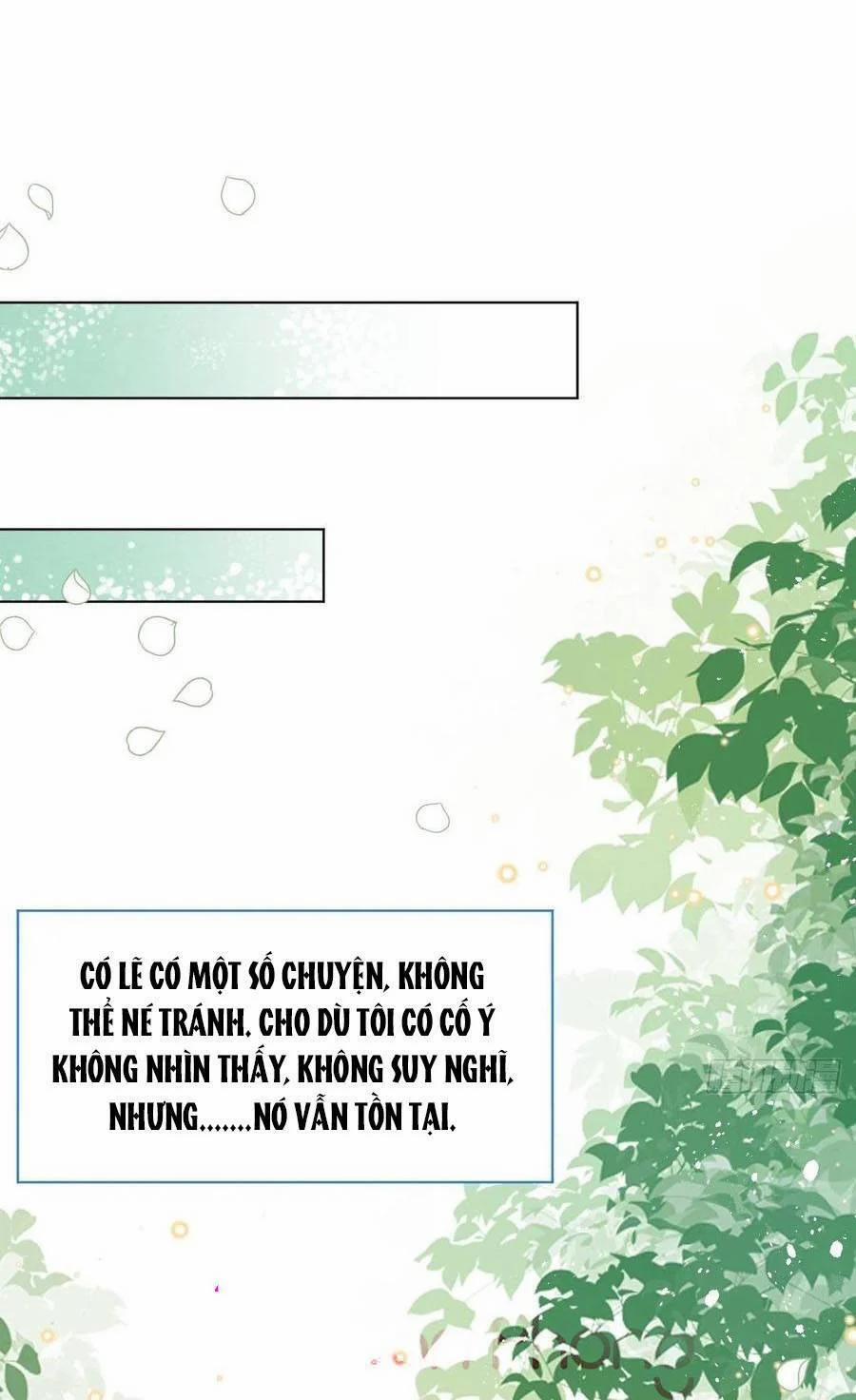 Ninita Yêu Dấu 43 trang 1