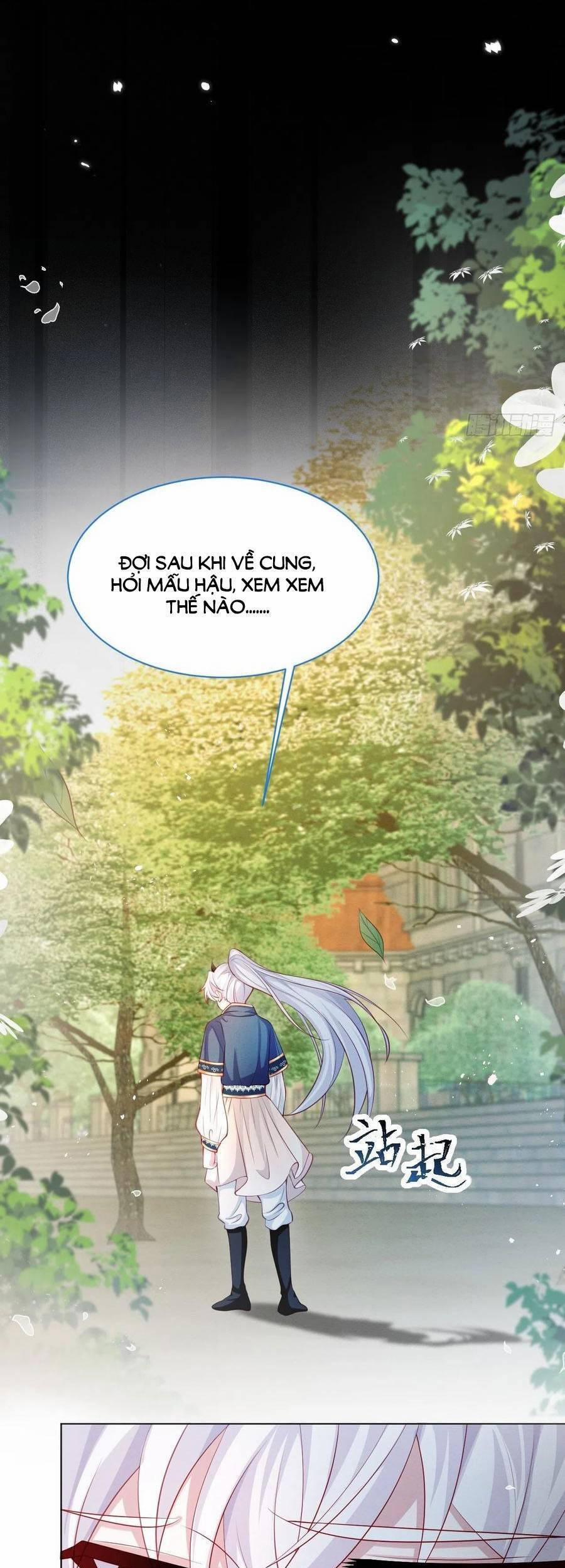 Ninita Yêu Dấu 43 trang 17