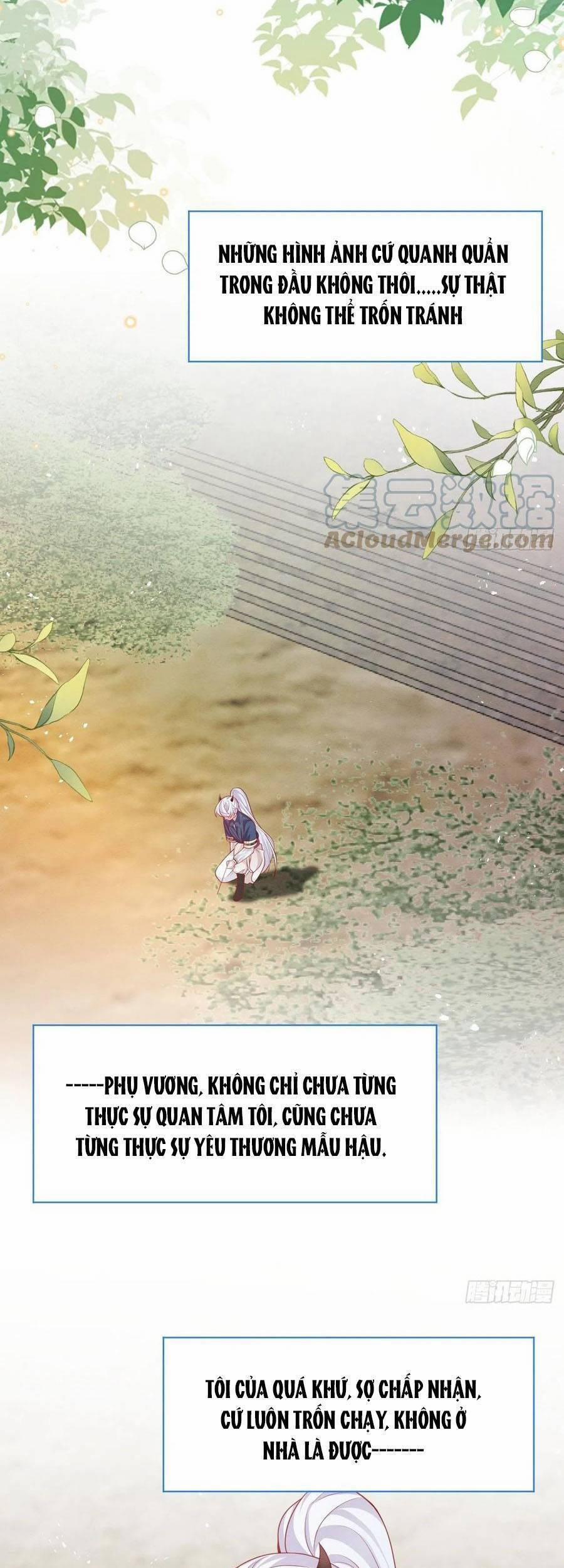 Ninita Yêu Dấu 43 trang 2