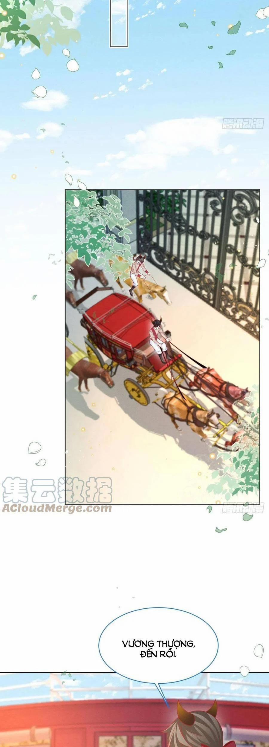 Ninita Yêu Dấu 43 trang 28