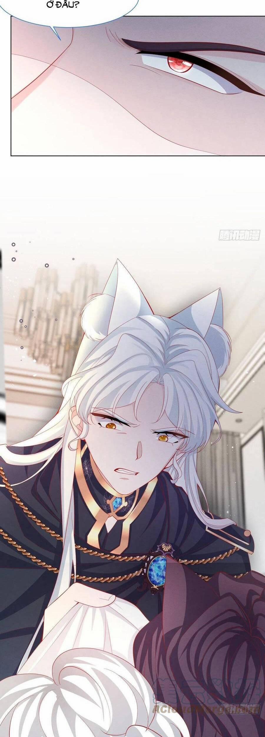 Ninita Yêu Dấu 43 trang 41