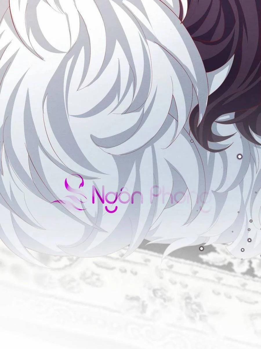 Ninita Yêu Dấu 43 trang 42