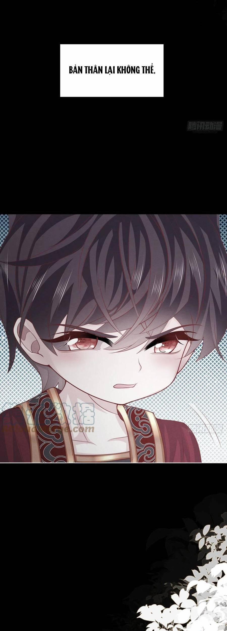 Ninita Yêu Dấu 43 trang 7