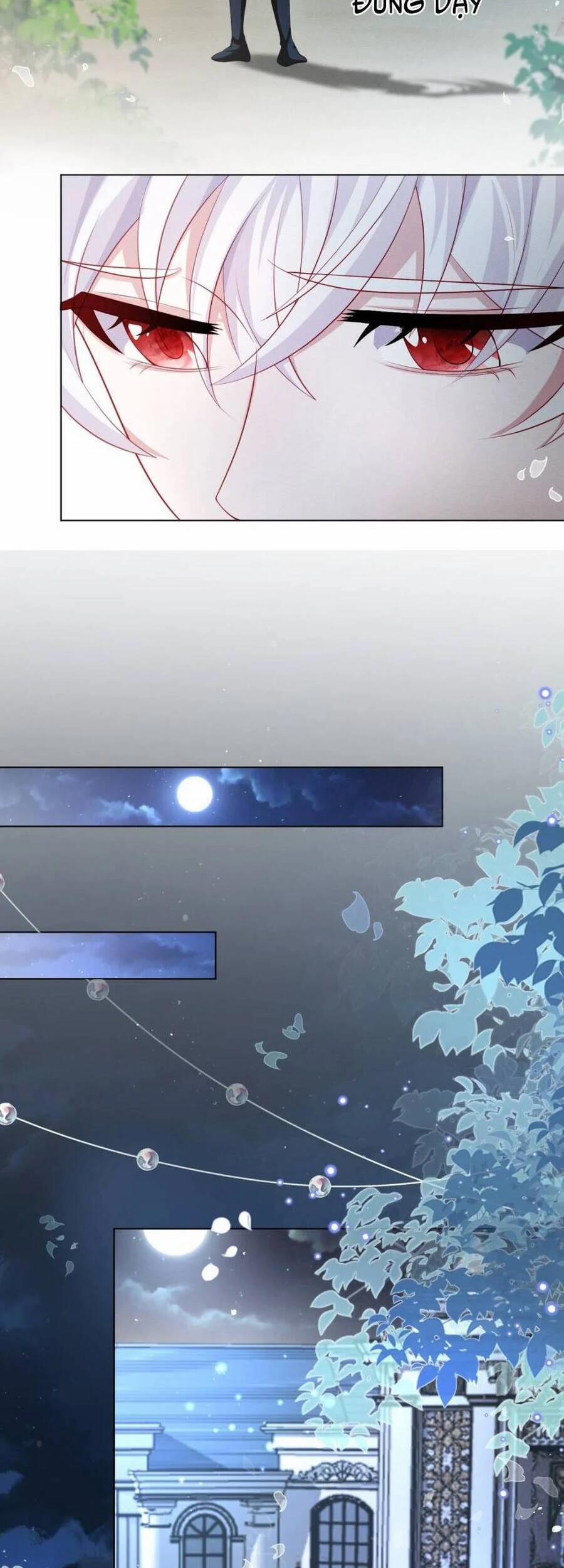 Ninita Yêu Dấu 45 trang 16