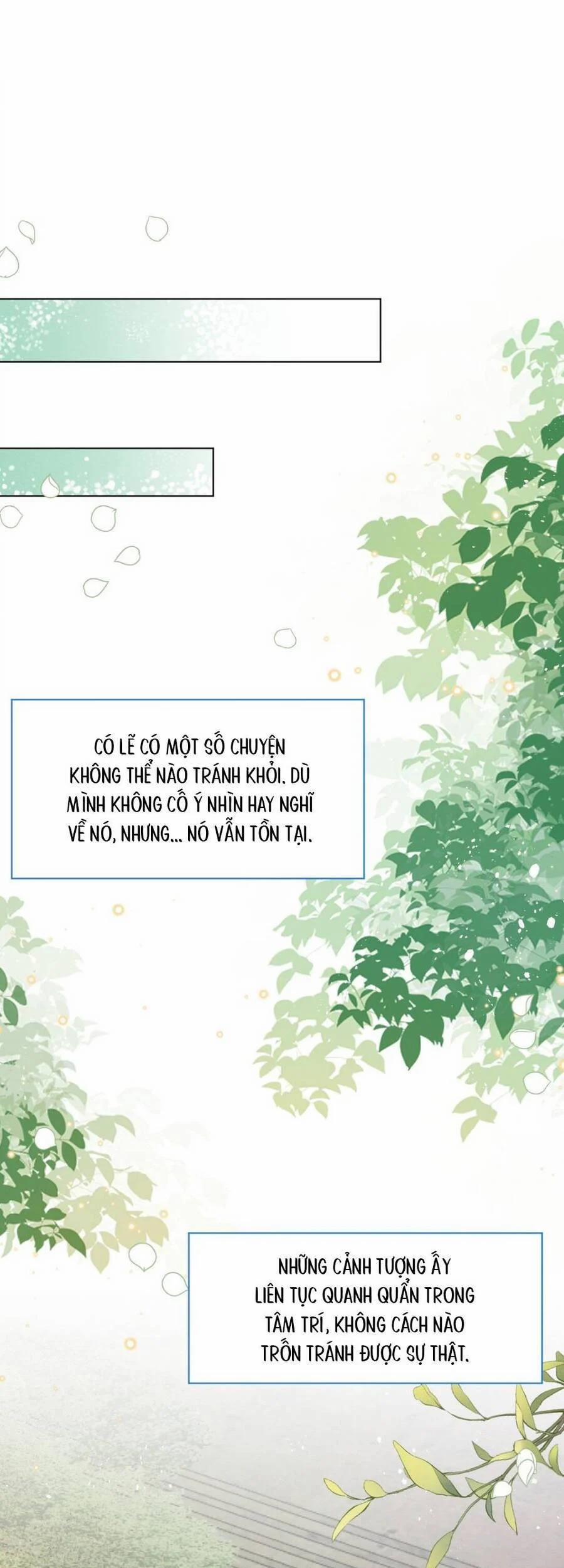 Ninita Yêu Dấu 45 trang 3