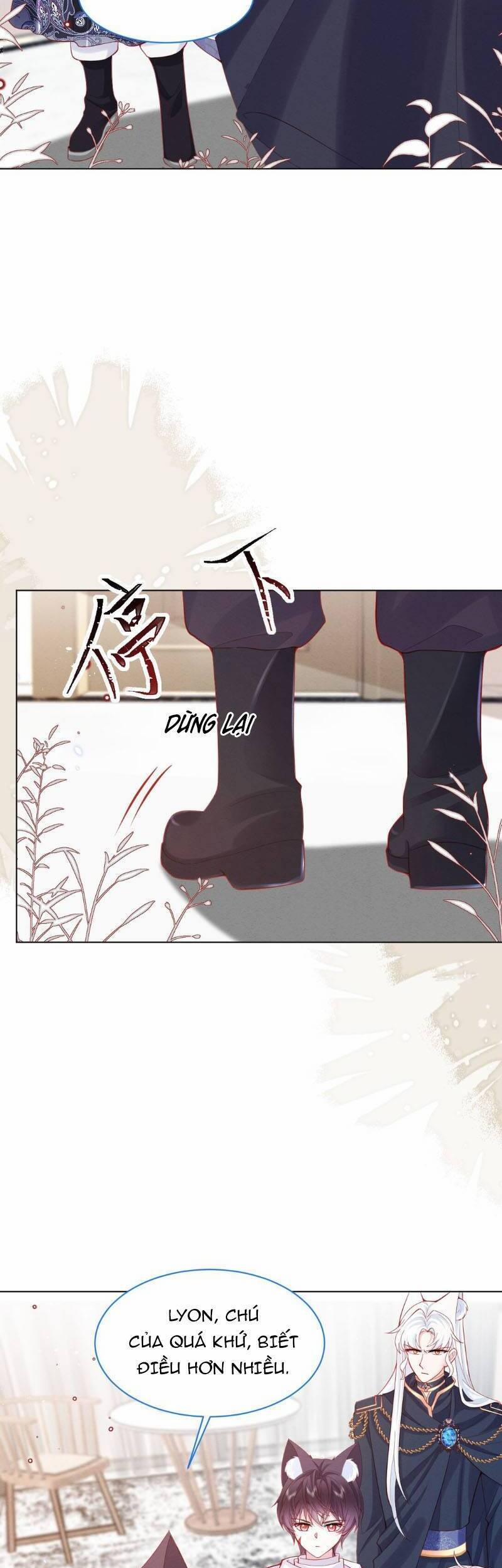 Ninita Yêu Dấu 46 trang 15