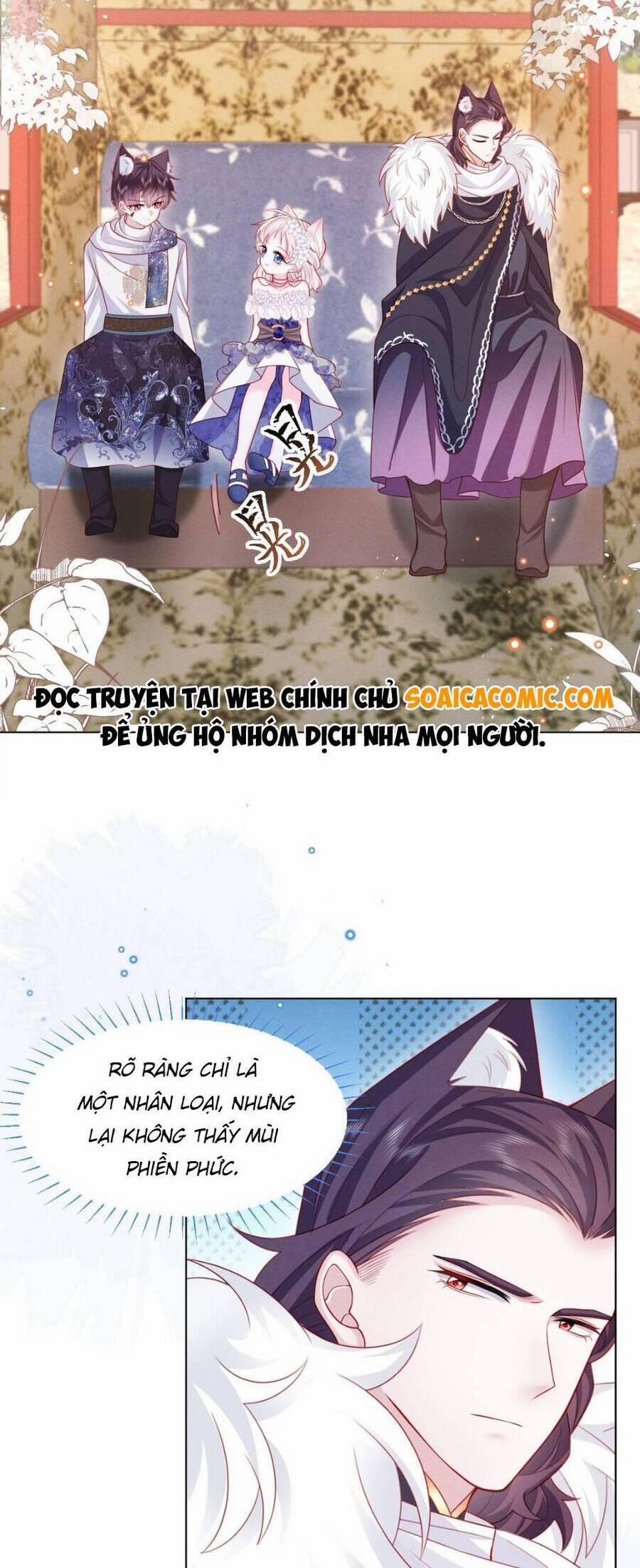 Ninita Yêu Dấu 47 trang 12