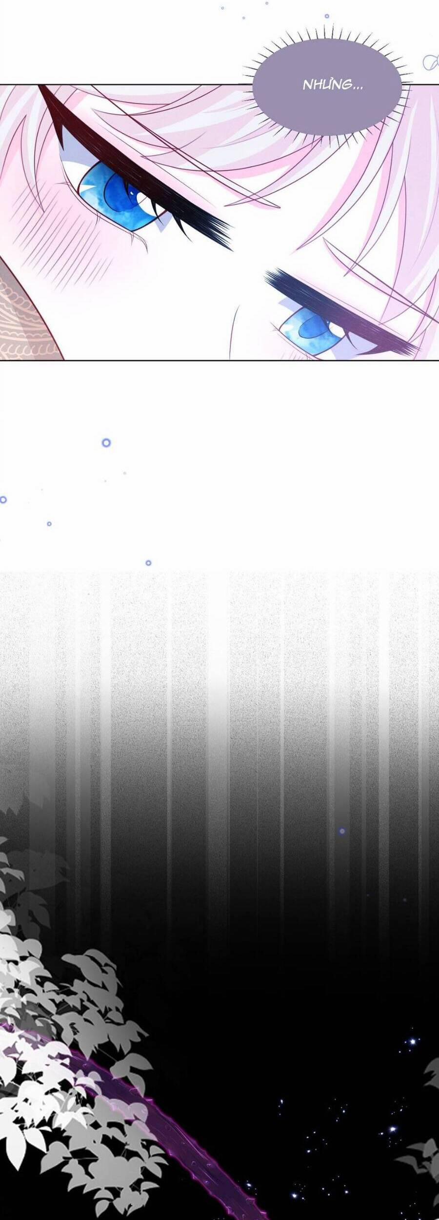 Ninita Yêu Dấu 48 trang 14