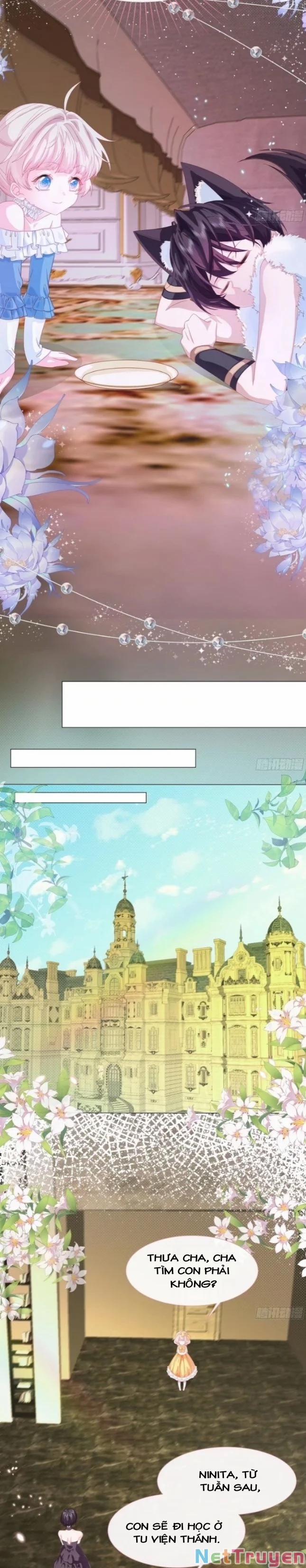 Ninita Yêu Dấu 5 trang 8