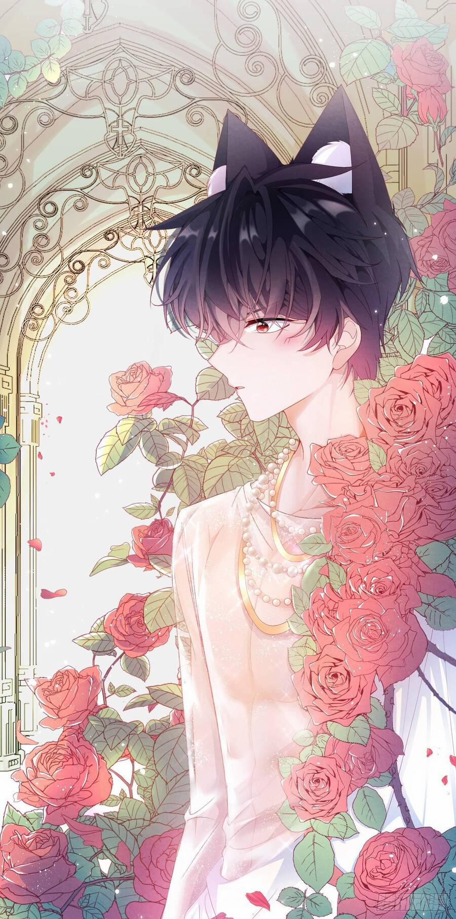 Ninita Yêu Dấu 50.5 trang 17