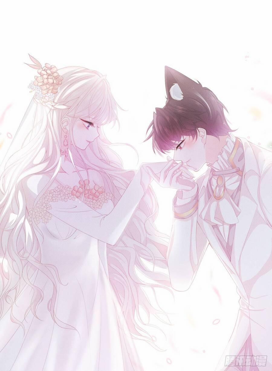 Ninita Yêu Dấu 50.5 trang 23