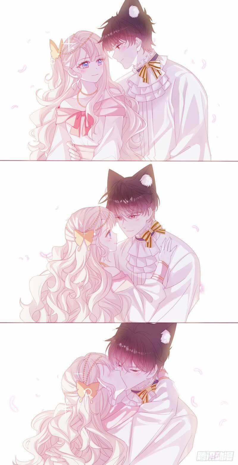 Ninita Yêu Dấu 50.5 trang 5