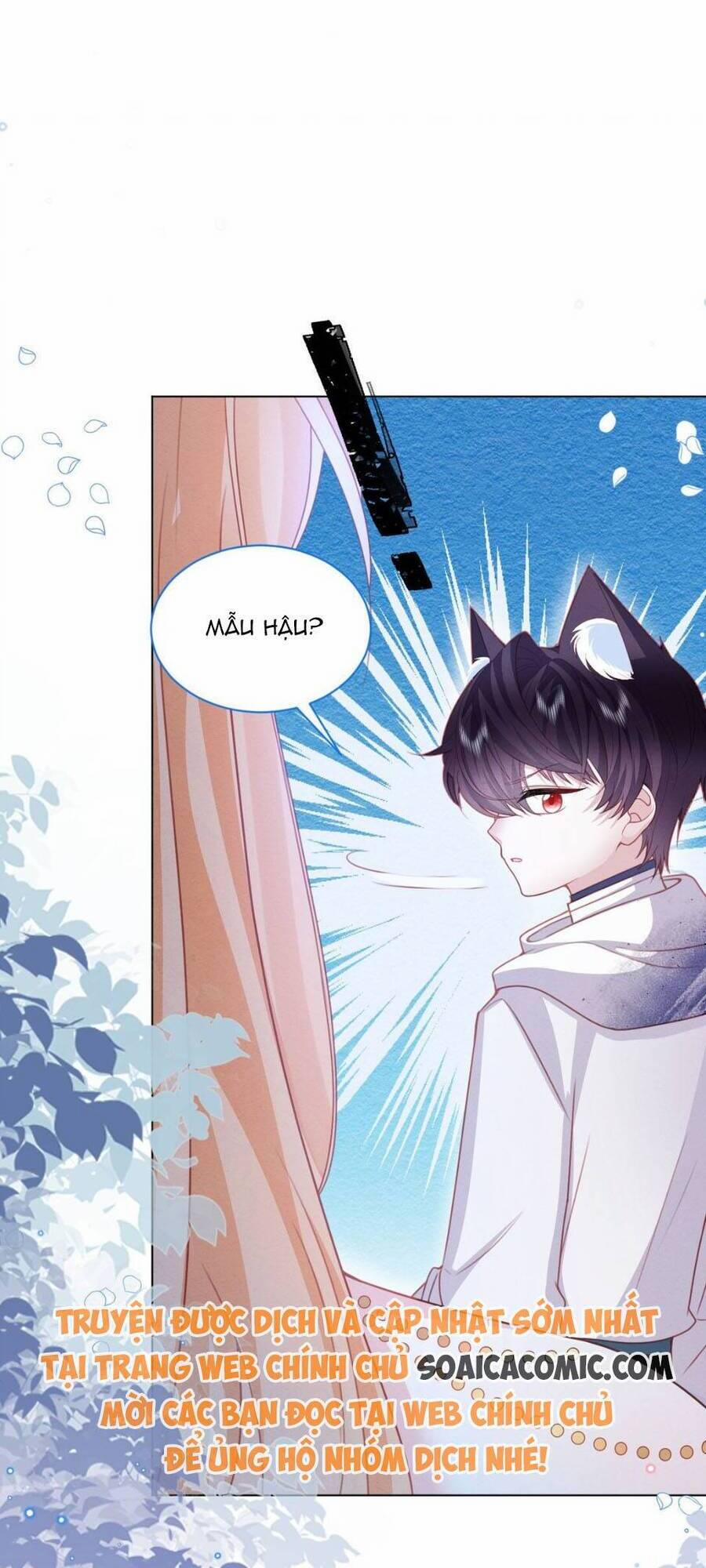 Ninita Yêu Dấu 51 trang 23