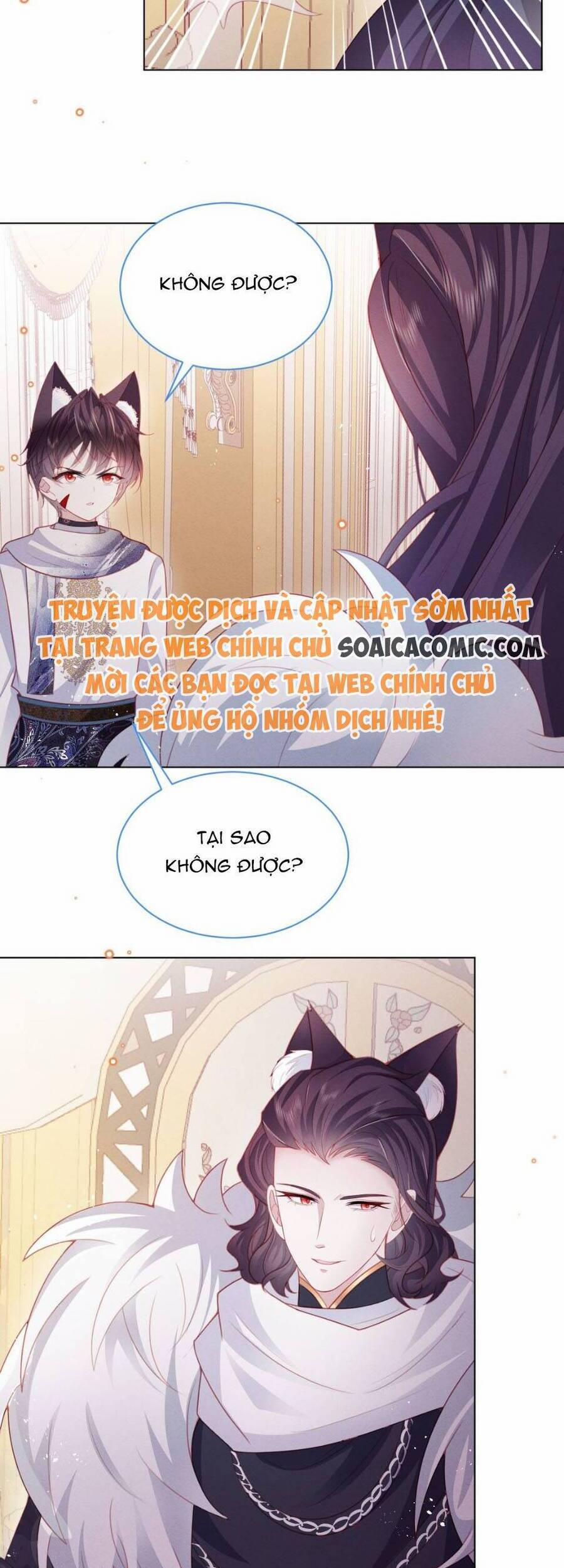 Ninita Yêu Dấu 51 trang 5