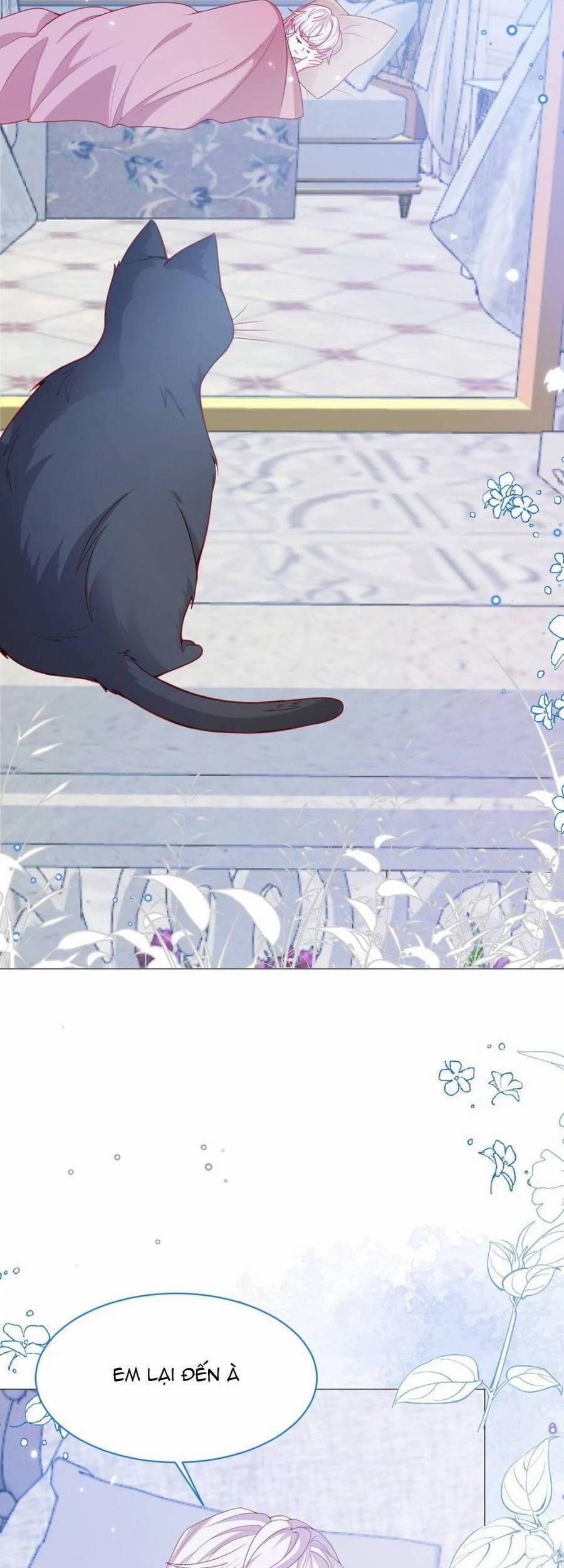 Ninita Yêu Dấu 53 trang 15