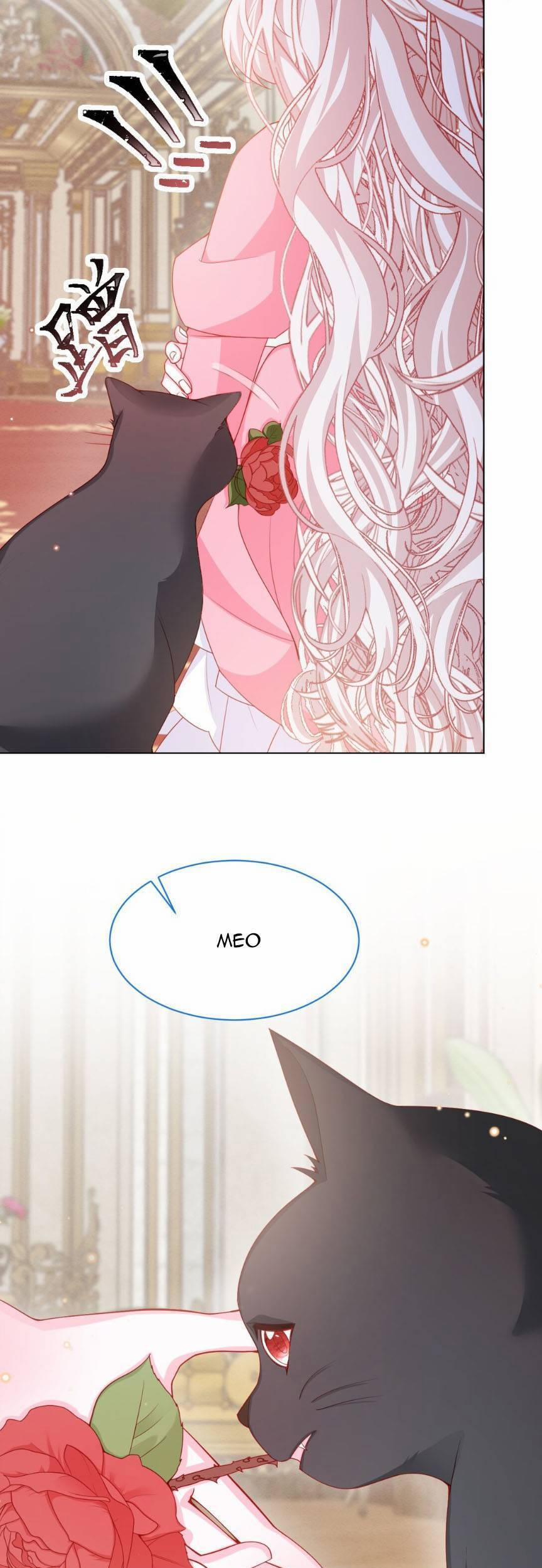 Ninita Yêu Dấu 54 trang 11